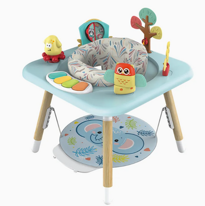 Modern Baby Walking Toy & Jumping Chair